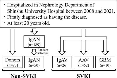 Serum sulfatide level is associated with severe systemic vasculitis with kidney involvement